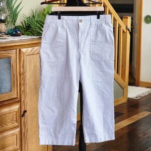 Duluth Trading Co Light Blue Pinstripe Wide Leg Pants